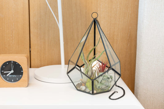 DIY Glass Diamond Terrarium