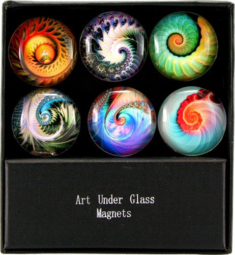 Nautilus Art Glass Magnets 6Pc Set