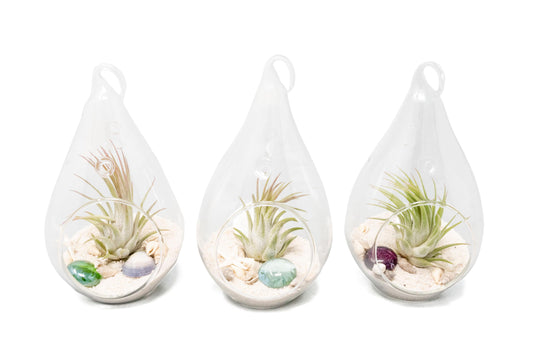 SALE - Set of 3 Teardrop Beach Terrariums with White Sand