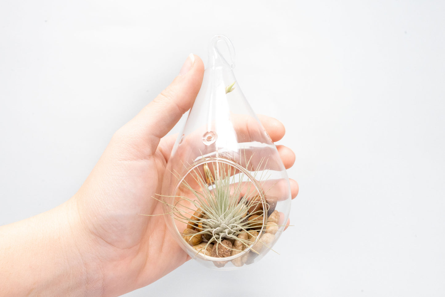 SALE - Set of 3 Airy Teardrop Terrariums with Flat Bottoms