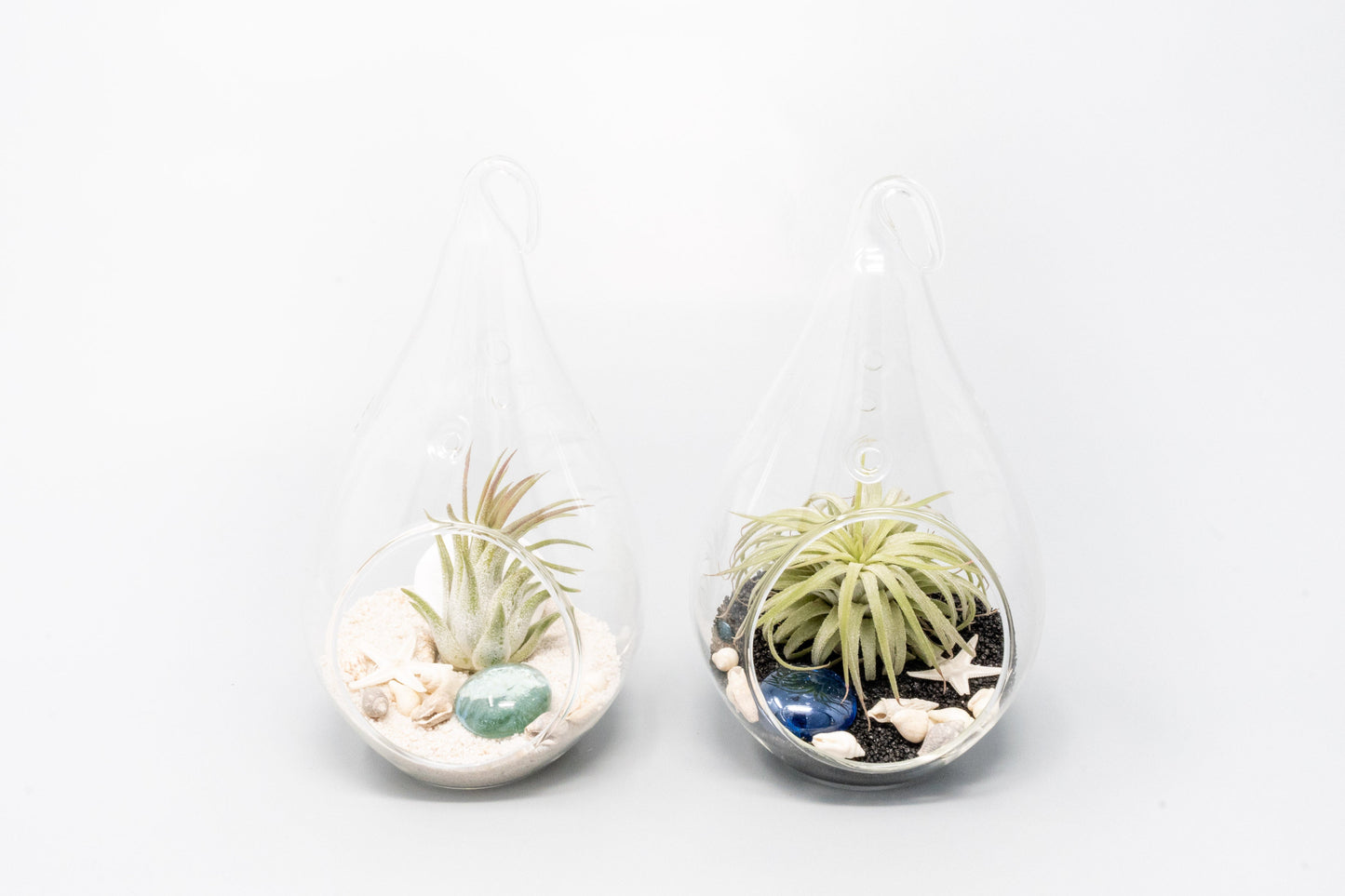 SALE - Teardrop Glass Terrariums - Set of 6 or 12 - 40% Off