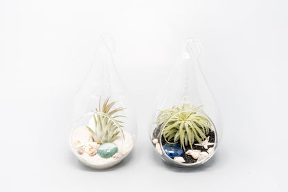 SALE - Teardrop Glass Terrariums - Set of 6 or 12 - 40% Off